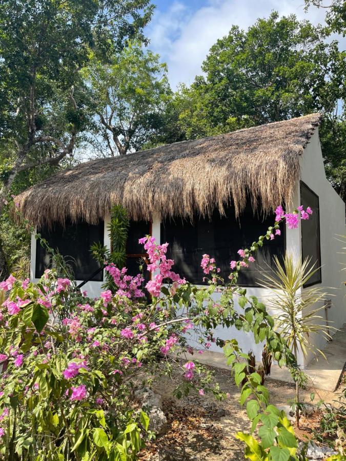 Maya Eco Village 艾库玛尔 外观 照片